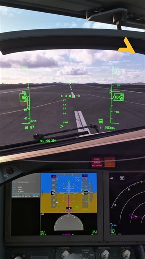 Landing with Boeing 737 Max in MSFS 2024