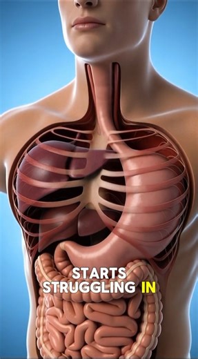 How Dehydration Slows Male Digestion#MensHealth#Digestion#GutHealth#Hydration#MaleWellness#facts