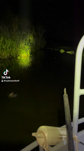 3.7K views · 79 reactions | Gator Season is just getting started! 落 #gatorhunting #gcohunts #getumboys #godscountryoutfitters #huntflorida #floridagatorhunting #river #boat #aligator | God's Country Outfitters | Facebook