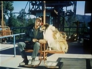 Lassie - Episode #419 - "Danger Mountain" - Season 13, Ep. 2 - 09/18/1966