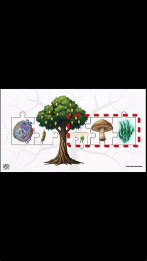 biological classification class11 biology chapter 2 animation #neet #cbse