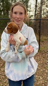 19K views · 290 reactions | Puppies! These adorable and smart pups...