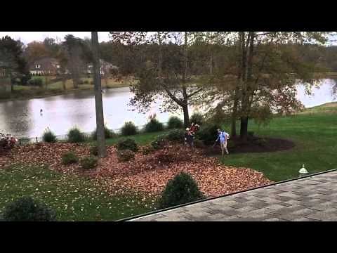 Leaf removal with a hurricane blower