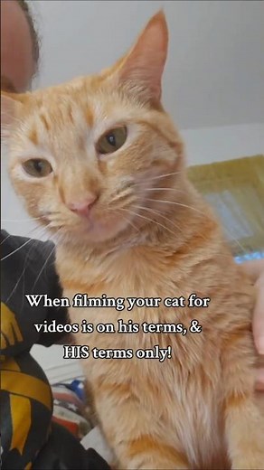 The king definitely wears the fur around here! *Behind the scenes trying to film*