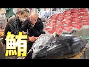 【必見】超巨大マグロの解体から握りまで