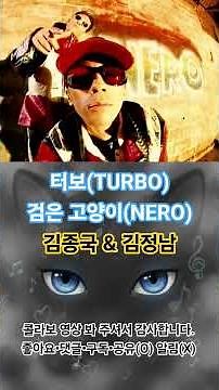 [심장을 터보] 터보 - 검은 고양이 (Nero) 🎶 90년대 댄스 팝 레전드 / Turbo - Black Cat (Nero) 🐱 90s K-Pop Classic Dance Hit