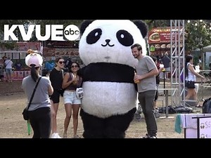 Panda Fest debuts in Austin, drawing crowds to celebrate Asian food, culture