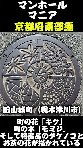 【路上のアート】町ごとに違うご当地マンホールの旅「京都府南部編」 #shorts #マンホール #アート