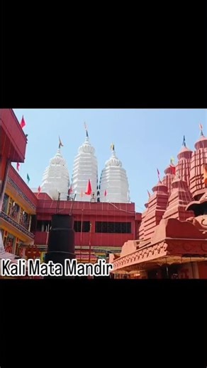 Maa kali mandir,Tifra,Bilaspur|Maa kali ke bhavya mandir ke darshan🙏 #navratri #viral #kalimaa #yt