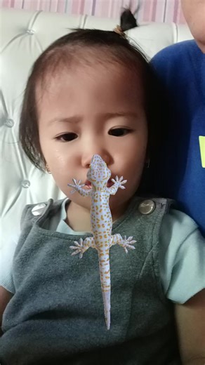 akun random (@titify7)’s videos with Cicak Cicak Di Dinding - Loren SKA