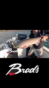 🎥 @angler_west_tv #fishermantestedfishapproved #bradskillerfishinggear | Brad's Killer Fishing Gear