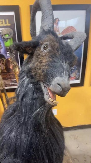 Our Black Phillip sculpt that lets us Live Deliciously everyday! #pumpkinpulp #blackphillip #thewitch #sculpt #horror #scary #halloween