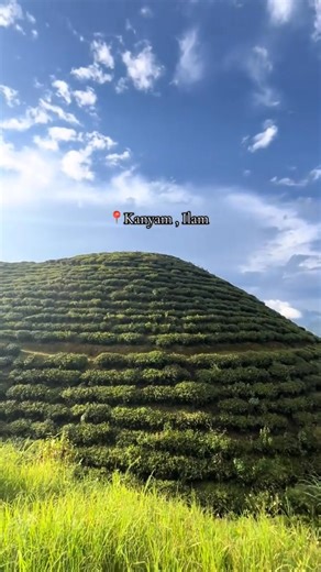 26K views · 1.5K reactions | ❤️ Vdo: Nian (TT) | Routine Of Ilam Evolution | Facebook