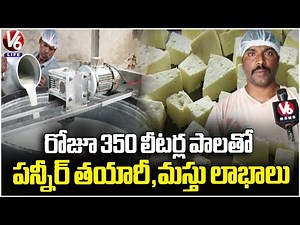 Huge Profits With Paneer Business | Yadadri Bhuvanagiri | V6 Life