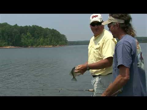 Mastering the Jig: Catch More Fish with the Jig Master Technique!