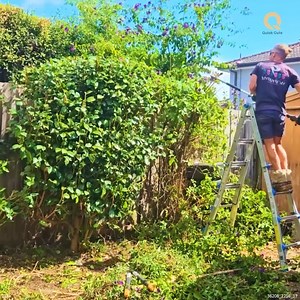 45K views · 2.2K reactions | She asked HIM to HELP with the NIGHTMARE Next Door! #lawncare | Quick Cuts | Facebook