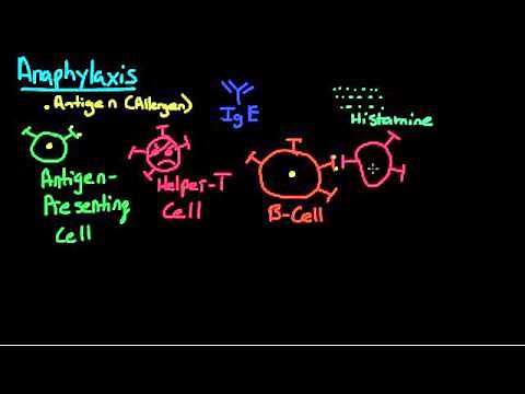 Anaphylaxis- Pathophysiology