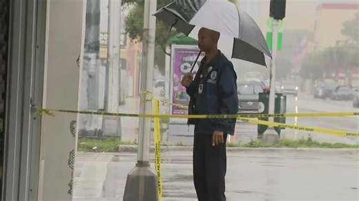 Man in critical condition after stabbing in Miami's Little Havana; suspect still at large