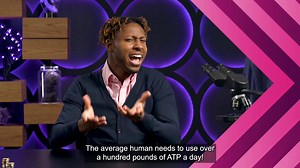 ATP (adenosine-triphosphate) is like a rechargeable battery and that energy is used to power important cellular processes — like keeping our bodies regulated with the right balance of the stuff that we need (homeostasis). https://youtu.be/HeO3yagexTw | CrashCourse