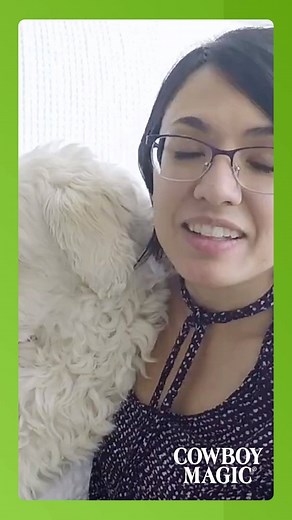 How to detangle a Goldendoodle? 💚 Learn it from @doodledoodsofig! 🐾 🎥 @doodledoodsofig | Cowboy Magic Europe