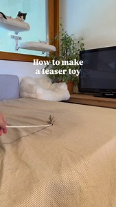 28K views · 4.1K reactions | Fringy Teaser Toy 臨 Materials • 1 empty...