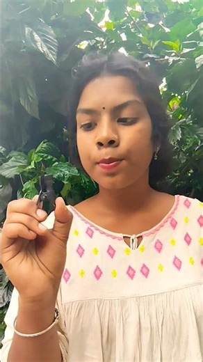 A vs H = Tongue Twist Drama 😄