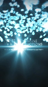 WLC Auctions on Reels | Facebook