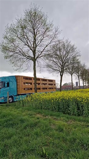 kolejny rok na rym pięknym gruzowiku I tak w środku serca tylko renault premium