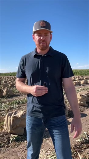 Fagerberg Produce: Innovating Sustainable Farming in CO