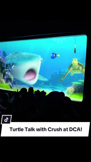 Turtle talk with Crush at Disney California Adventure in Hollywood Land! It’s also a great way to take a break from all the rides! Cute and Fun little activity with little ones. My Finley loved it so much! 🤍#turtletalkwithcrush #dory #disney #disneycaliforniaadventure #DCA