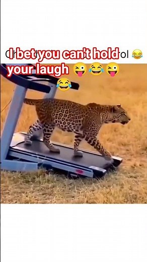 Let's laugh but don't cry 😭😭