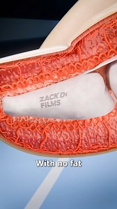 Why Stubbing Your Toe Is Painful 😖 | Zack D. Films