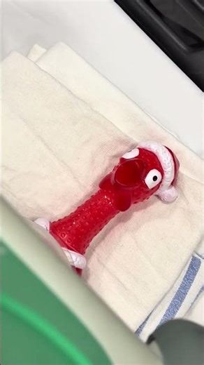 You must do daily checks on your Lucas #lucas #pulsecheck #funny #usnurse #dentist #nurse #nursing