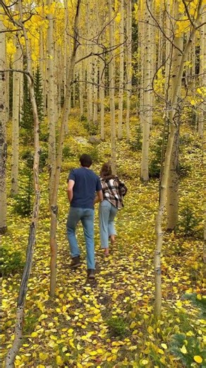 This is one of the best places to catch fall colors