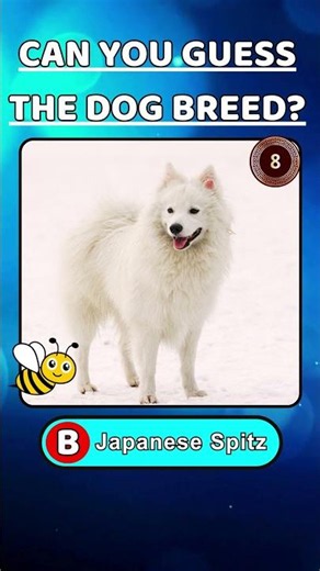 Guess The Dog Breed!! 🐕 | Short 052 | Can You Name The Dog Breed? 🐶 | Dog Lover 🐾🗺 | Dog Quiz 🌍
