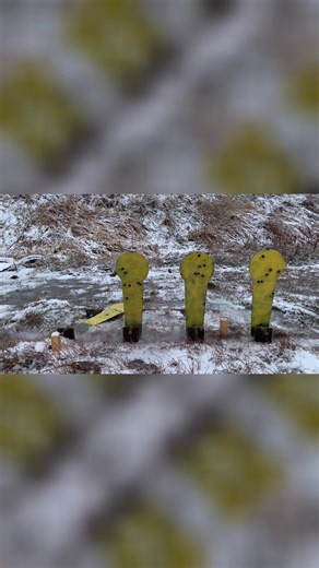 DynamicRangeX1 (@dynamicrange_x1)’s videos with original sound - Taha.asaad