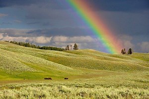 National Find A Rainbow Day: 10 Motivational Quotes To Celebrate The Rays Of Hope