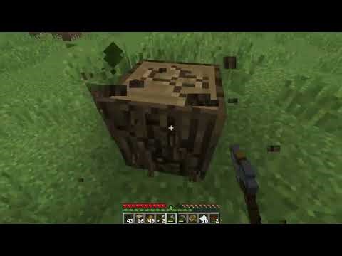 cutting down a tree.mp4