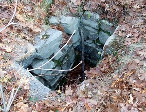 The significance of Wolf Pit.