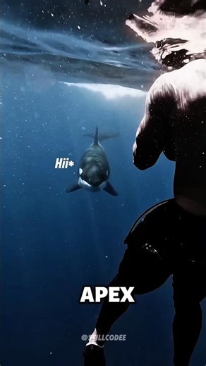 The ocean’s most strategic predator 🐋