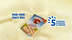 The Laughing Cow Creamy Cheese Spread