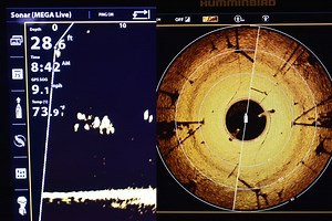 Humminbird: Mega Live vs. 360 w/ Bob Downey