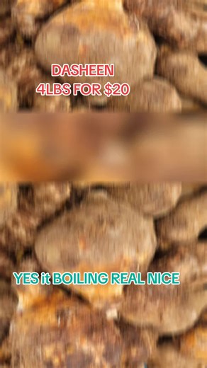 Buy Dasheen 4lbs for $20 at Warren Vegge Mart
