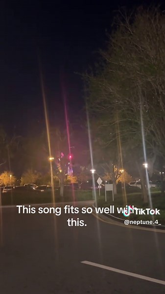 I love mitski and Disney world fireworks 💗#fypシ #viral #relatable
