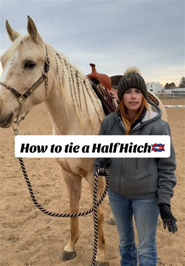 Quick tip for trail riding packing 🐴🪢 In this video, I’m showing how to tie a half hitch on your saddle horn to secure a lead rope while you’re riding. It keeps the rope out of your way, but still easy to grab when you need it — no flopping, no tangles. This is especially useful if you’re trail riding or packing and leaving a halter on under your bridle. One of those small skills that can make a big difference out on the trail. #TrailRidingTips #HalfHitch #WesternRiding #HorseTraining #MNEques