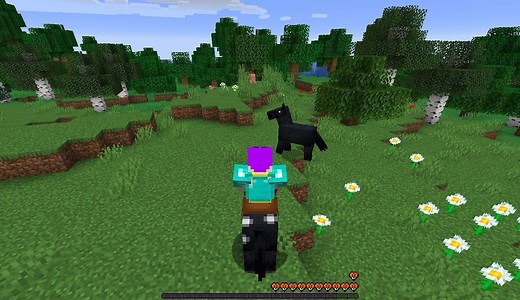 Ranking rideable mobs in Minecraft