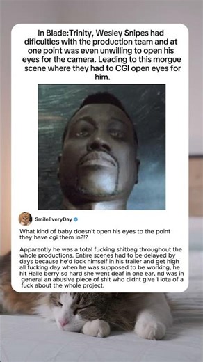 in blade trinity wesley snipes had difficulties with the production team