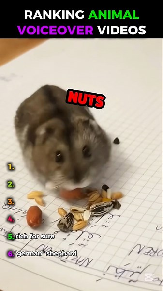 Animal Voiceovers Are Too Real🤣