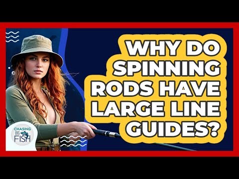 Why Do Spinning Rods Have Large Line Guides?