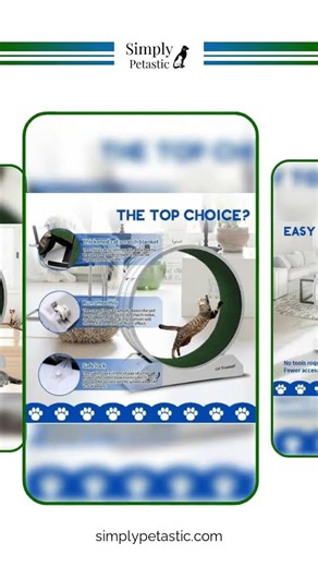 Cat Treadmill Wheel Exercise for Kitty’S Longer Life Wheel Indoor Continuous Walk Run Jog Play